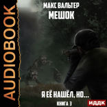 Мешок. Книга 3. Я её нашёл, но...