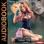 Мои большие файерболы. Книга 1