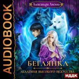 Академия высокого искусства. Книга 4. Беглянка