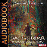 Застрявший. Книга 2. Застрявший в «Возрождении»