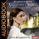 Академия хаоса. Книга 1. Лабиринт стихий