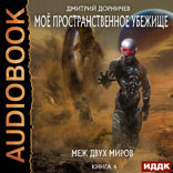 Моё пространственное убежище. Книга 4. Меж двух миров