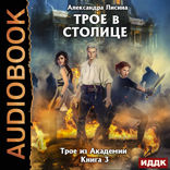 Трое из Академии. Книга 3. Трое в столице