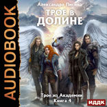 Трое из Академии. Книга 4. Трое в долине