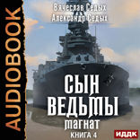 Сын ведьмы. Книга 4. Магнат