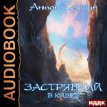 Застрявший. Книга 3. Застрявший в Кишке