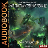 Моё пространственное убежище. Книга 10. Тучи сгущаются