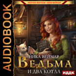 Ведьма и два котла