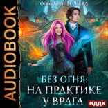 Без огня. Книга 1. На практике у врага