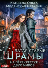 Латая старые шрамы. Книга 2. На перекрестке миров