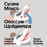 Опоссум Шрёдингера