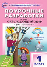 Поурочные разработки по курсу «Окружающий мир». 1 класс