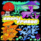 Стоит ли бояться грибов?