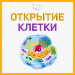Клетка. История великого открытия, изменившая мир!