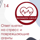 Ответ клетки на стресс и повреждающие агенты. / Rasskazov Group