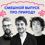 «Петух был очень корректный». Дико смешной выпуск про природу
