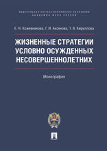 Жизненные стратегии условно осужденных несовершеннолетних. Монография