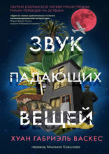 Звук падающих вещей
