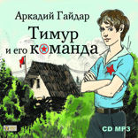 Тимур и его команда