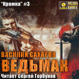 Кромка. Книга 3. Ведьмак