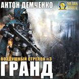 Воздушный стрелок. Книга 3. Гранд