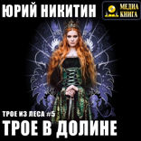 Трое из Леса. Книга 5. Трое в долине