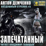 Воздушный стрелок. Книга 5. Запечатанный