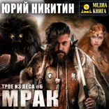 Трое из Леса. Книга 6. Мрак