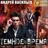 А. Смолин, ведьмак. Книга 5. Темное время