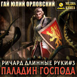 Ричард Длинные Руки. Книга 3. Паладин Господа