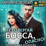 Опасные боссы. Книга 2. Не отвергай босса, опасно!