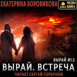 Вырай. Встреча