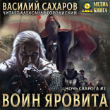 Воин Яровита. Книга 2