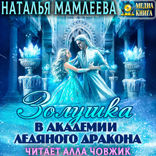 Золушка в академии ледяного дракона. Дракмар. Книга 4