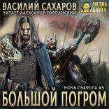 Ночь Сварога. Книга 5. Большой погром