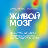 Живой мозг