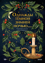Однажды темной зимней ночью