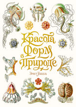 Красота форм в природе