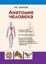 Анатомия человека. Учебник для студентов учреждений среднего профессионального образования