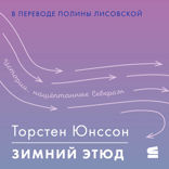 Зимний этюд