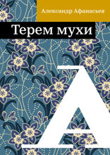 Терем мухи