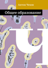 Общее образование