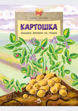 Картошка. Машина времени на грядке
