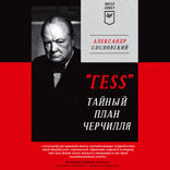 «ГESS» Тайный план Черчилля