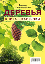 Деревья. Книга. Карточки