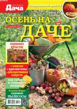 Любимая Дача. Спецвыпуск (09-2017)