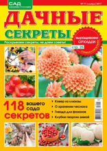 Дачные Секреты (11-2017)