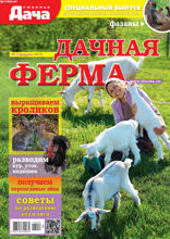 Любимая Дача. Спецвыпуск (02-2018)