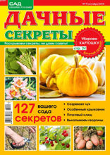 Дачные Секреты (09-2018)