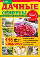 Дачные Секреты (10-2018)